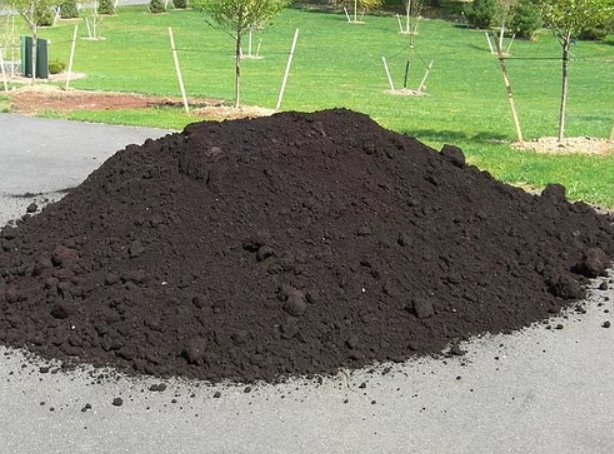 soil.png